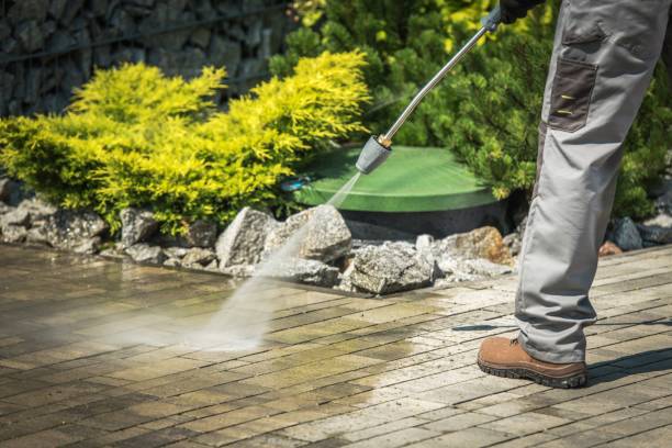 Animal Enclosure Cleaning in Red Bluff, CA